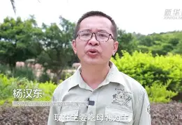 关于足球教练团队再添新成员，战术调整或将带来新突破的信息