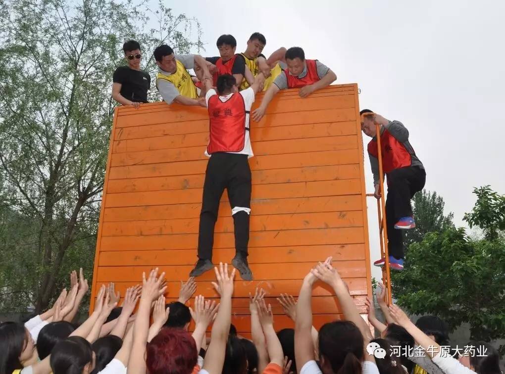 河北精英全力拼搏，留给对手难题的简单介绍
