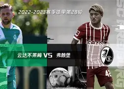 九州娱乐官方网站登录入口（九州娱乐体育、真人、游戏）-沃尔夫斯堡客场不敌云达不莱梅，遗憾失利的简单介绍